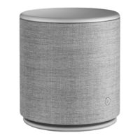 B&O Play Beoplay M5 User Manual