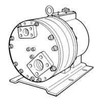 Wanner Engineering Hydra-Cell G-35-SD Installation Service