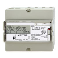EMH metering DIZ Instructions For Use Manual