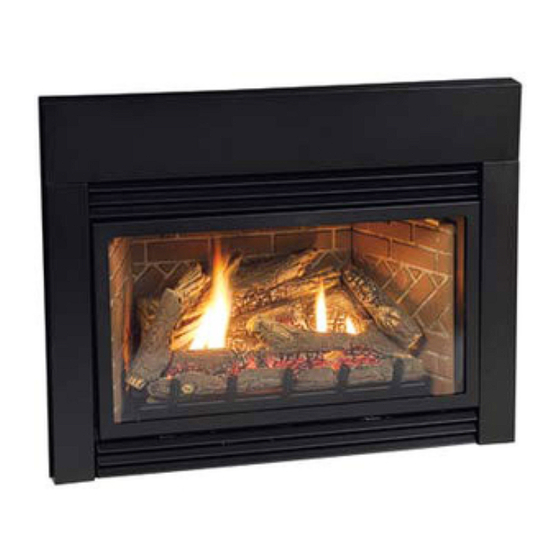Empire Comfort Systems DV25IN33L(N,P)-3 Installation Instructions And Owner's Manual
