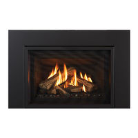 Regency Fireplace Products Gi29LE-NG Owners & Installation Manual