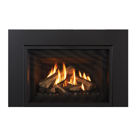 Regency Fireplace Products Gi29LE Owners & Installation Manual