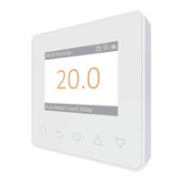 Amber DT-two User Manual