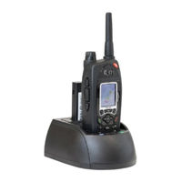 AkkuPoint 999604 User Manual
