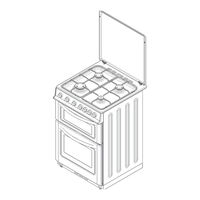 Valor V60GTCLm Operating And Installation Instructions