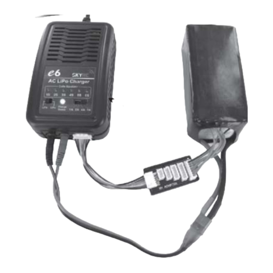 Skyrc e6 SK-100052 Instruction Manual