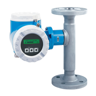 Endress+Hauser Proline t-mass 65F Manual