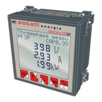Ducati Energia DUCA-LCD96-PROFI Assembly And Use Instructions