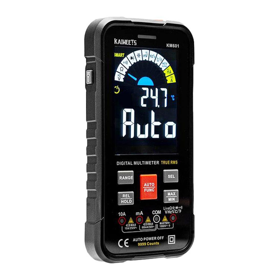 Kaiweets True RMS 10000 Counts User Manual