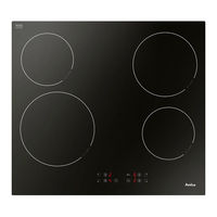 Amica PBP4VQ247FN Instruction Manual