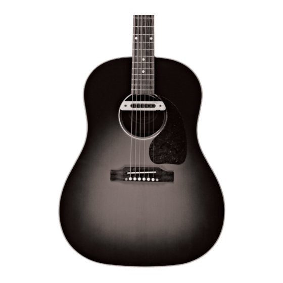 L.R. Baggs M80 User Manual