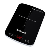 Bluestone ICB- 6617 User Manual