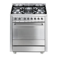 SMEG C91GVXA-1 Instructions For Use Manual