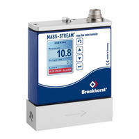 Bronkhorst MASS-STREAMT D-6300 Instruction Manual