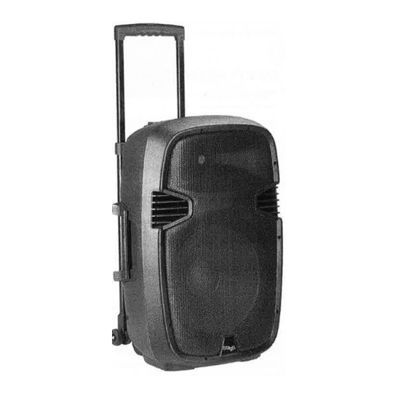 Stagg RE-VOLT 12 User Manual