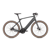 Schindelhauer Bikes Oskar Manual