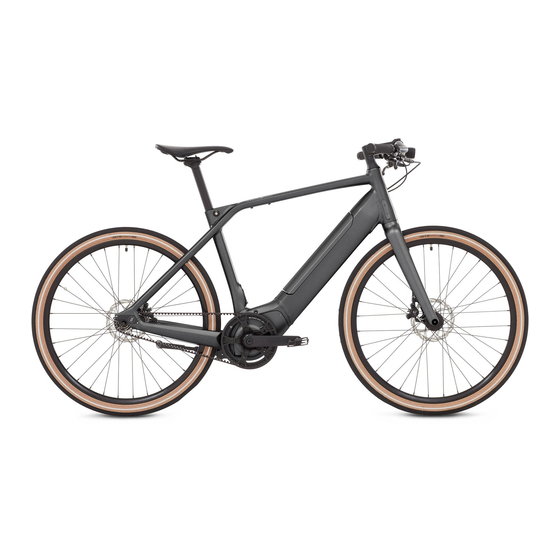 Schindelhauer Bikes Oskar Manual