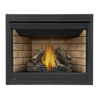 Continental Fireplaces CB42NTR Installation And Operating Instructions Manual