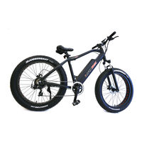 MAXBIK MX-310 User Manual
