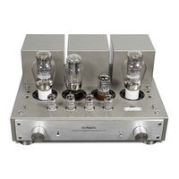 Line Magnetic LM-217IA Manual