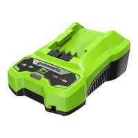 Greenworks 2900802 Operator's Manual