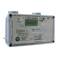 PIETRO FIORENTINI SSM-ICON Use And Maintenance Manual