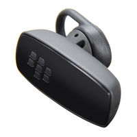 BLACKBERRY HS-300 Product Information