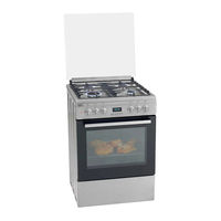 DEFY DGS160 User Manual
