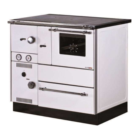 Alfa Plam ALFA TERM 27 Installation, Setup And Operation Instructions