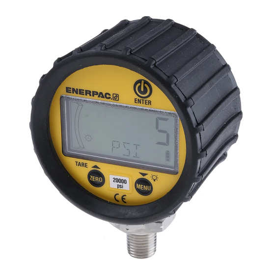 Enerpac DGR-2 Instruction Sheet