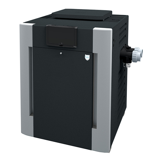 Rheem Raypak 207A Installation And Operation Manual