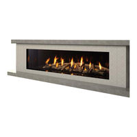 Regency Fireplace Products CB40EPV-NG Owners & Installation Manual