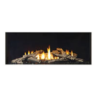 Regency Fireplace Products City CV40EPV Owners & Installation Manual