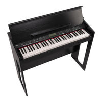 Max Music RhapsodyDP61 Instruction Manual