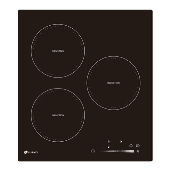 ALLENZI PI3020T Manual