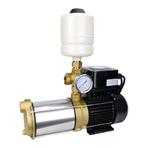 Ribimex Ribiland PRMCA5AUTOV Water Pump Manuals