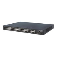 Intellinet 561334 Instructions Manual