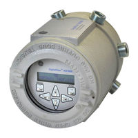Panametrics DigitalFlow XGF868i Service Manual