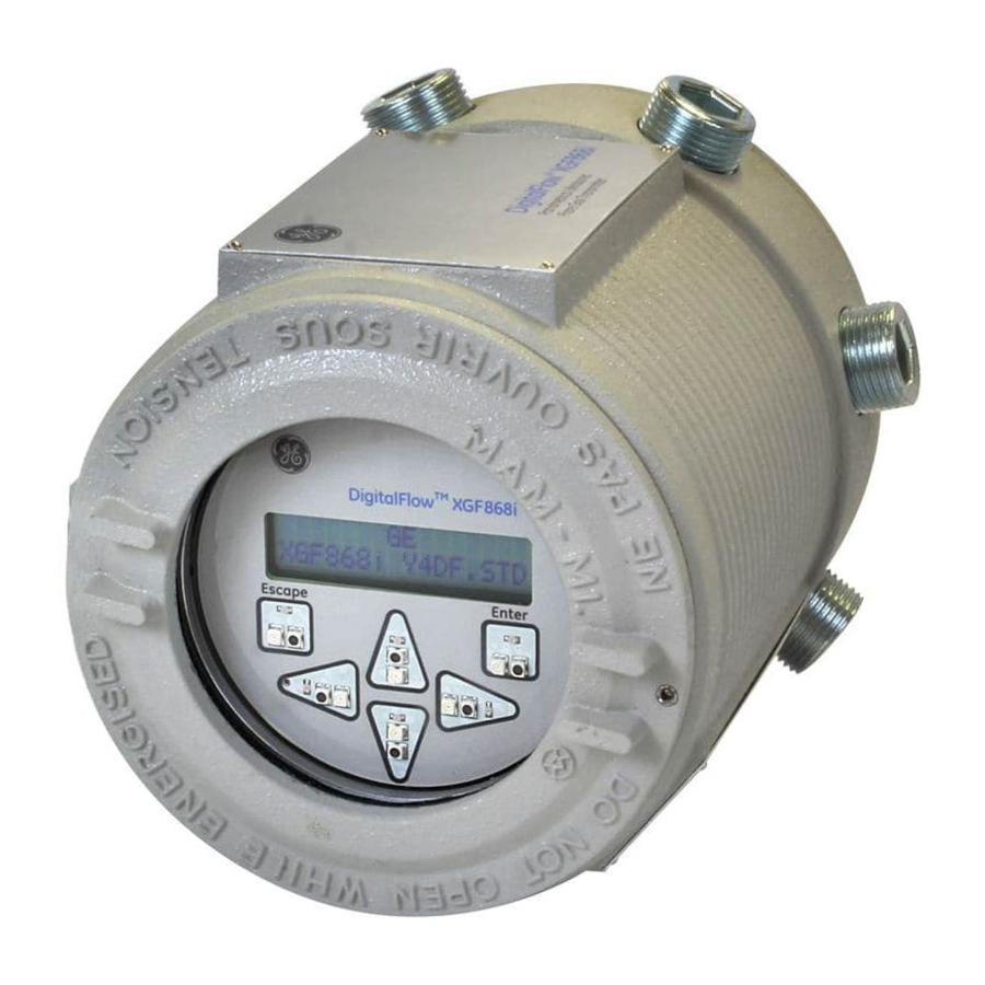 Panametrics DigitalFlow XGF868i Service Manual