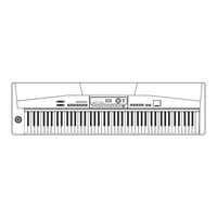 thomann SP- User Manual