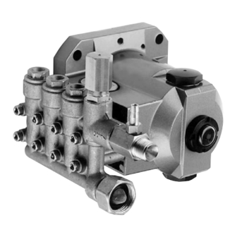 CAT Pumps 3DX25GSI Manual