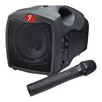 Fender PASSPORT P-10W User Manual