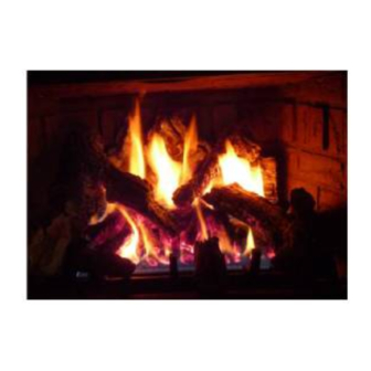 Mendota FV33i-PF2-0113 Fireplace Insert Manuals