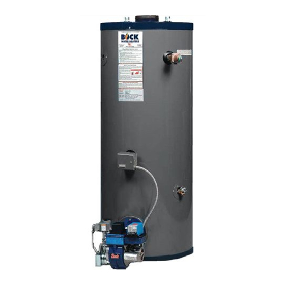 Bock Water heaters Turboflue 541PG Specification Sheet