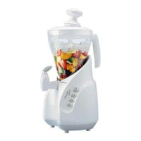 Kenwood Smoothie Concert SB255 Instructions And Recipe Ideas