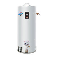 Bradford White RG2DVMH40T6X-264 Manual