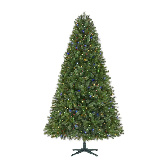 Home Accents Holiday 1001302145 Manual