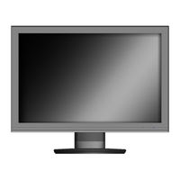 Asus VW191S User Manual