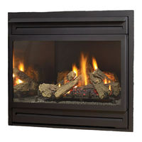 Regency Fireplace Products Panorama PG36 Series Owners & Installation Manual