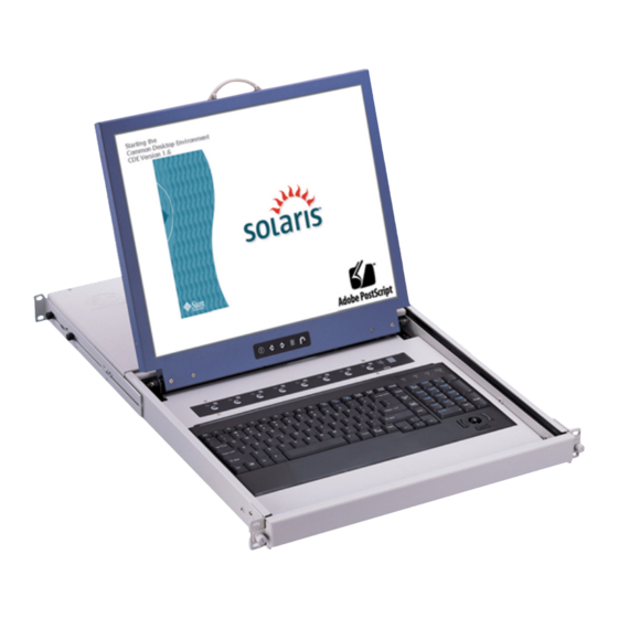 CyberView S117 Brochure